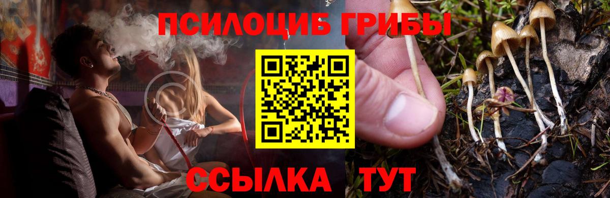 Галлюциногенные грибы мицелий Серов